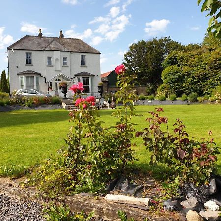 Mount Pleasant Country House Vendégház Lucan Kültér fotó